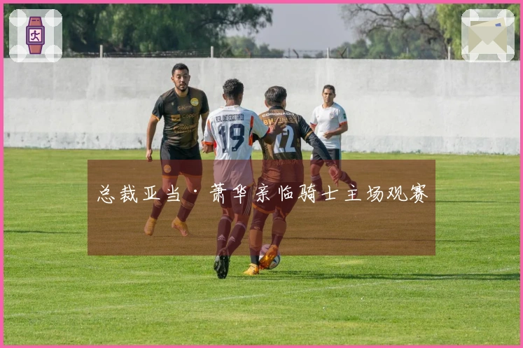 总裁亚当·萧华亲临骑士主场观赛
